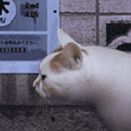 亚洲视频第二区之怪奇谭官方正版下载-亚洲视频第二区之怪奇谭手机版下载 v1.0 安卓正版